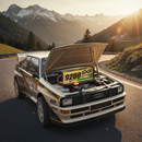 阿尔卑斯山路与1/10拉力赛车