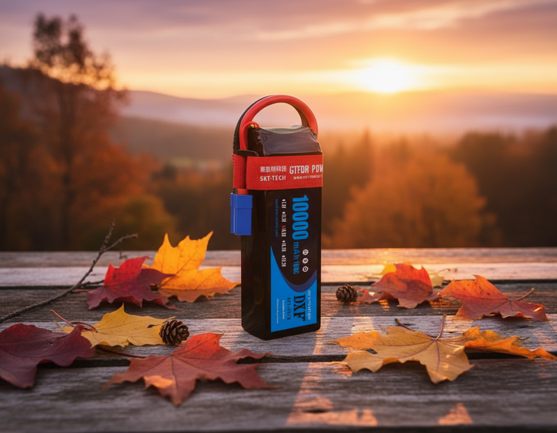 DXF 4S LiPo Battery 14.8V 10000mAh 100C with Deans/XT90/EC5 for RC 1/8 1/10 Car Truck Tank