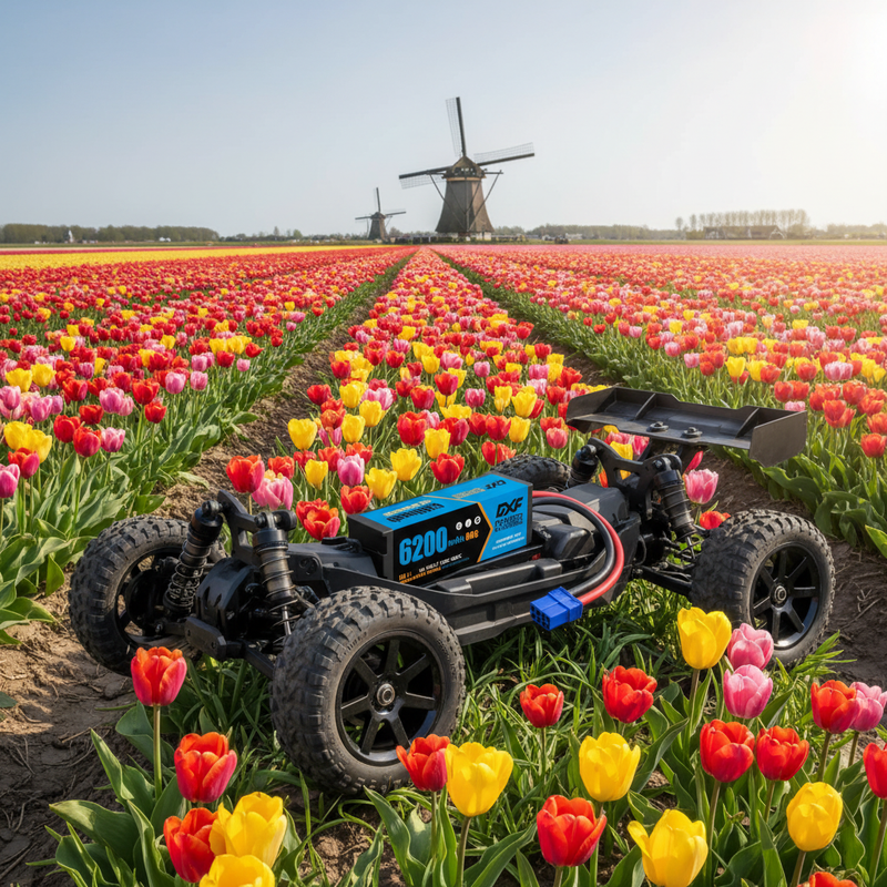 DXF 3S LiPo Battery 11.1V 6200mAh 80C Hardcase with EC5- Premium Power for RC Cars & Drones