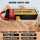 (CN)DXF 3S Lipo Battery 11.1V 150C 6500mAh Soft Case Batter5y with EC5 XT90 Connector for Car Truck Tank RC Buggy Truggy Racing Hobby