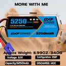 (ES)DXF 3S 5250 mAh 11.1V 140C Batteria Lipo ad Alta Capacità Hardcase con EC5  Spina per 1:8 Scala RC Auto, Multi-Rotore RC Aeroplano, RC Elicottero, RC Barca