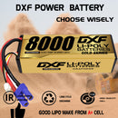 DXF 3S Lipo Battery 11.4V 8000mAh 130C GOLD Version Graphene Hardcase with EC5 Plug for RC 1/8 1/10 Buggy Truck Car Off-Road (1-6 Pack)
