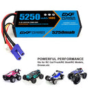(CN)DXF 3S 5250 mAh 11.1V 140C Batteria Lipo ad Alta Capacità Hardcase con EC5  Spina per 1:8 Scala RC Auto, Multi-Rotore RC Aeroplano, RC Elicottero, RC Barca