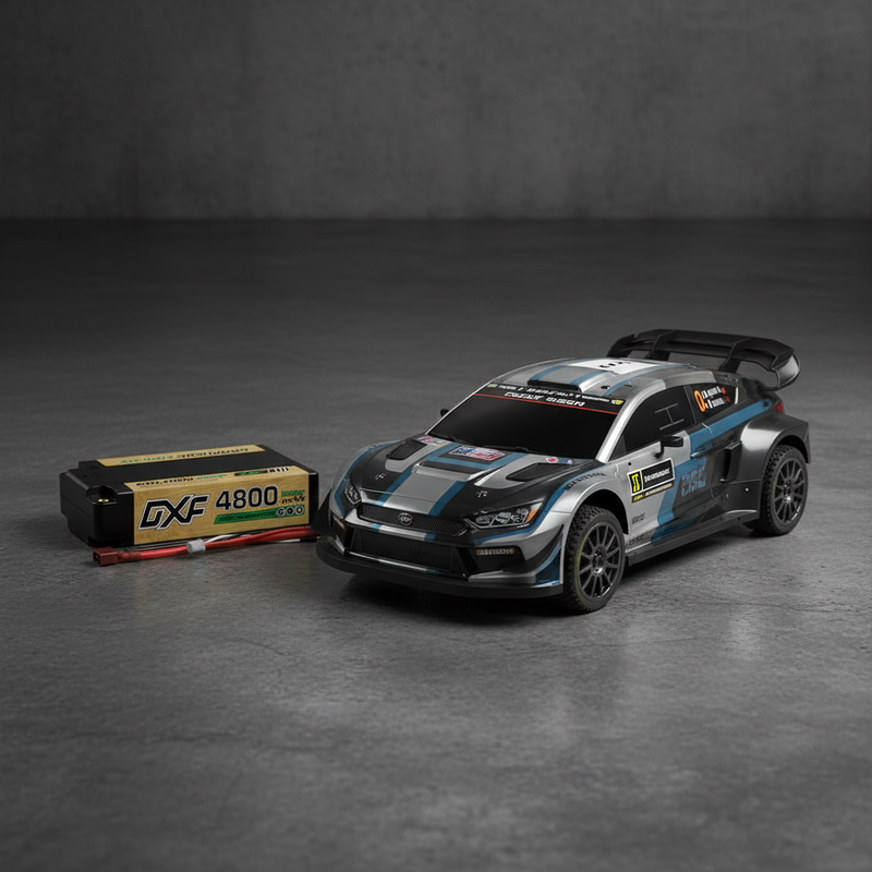 电池与欧洲拉力赛车