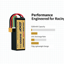 DXF 6S Performance Chart