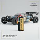 DXF 6S Premium Lifestyle